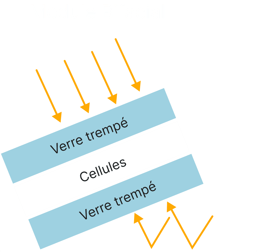 Module bifacial