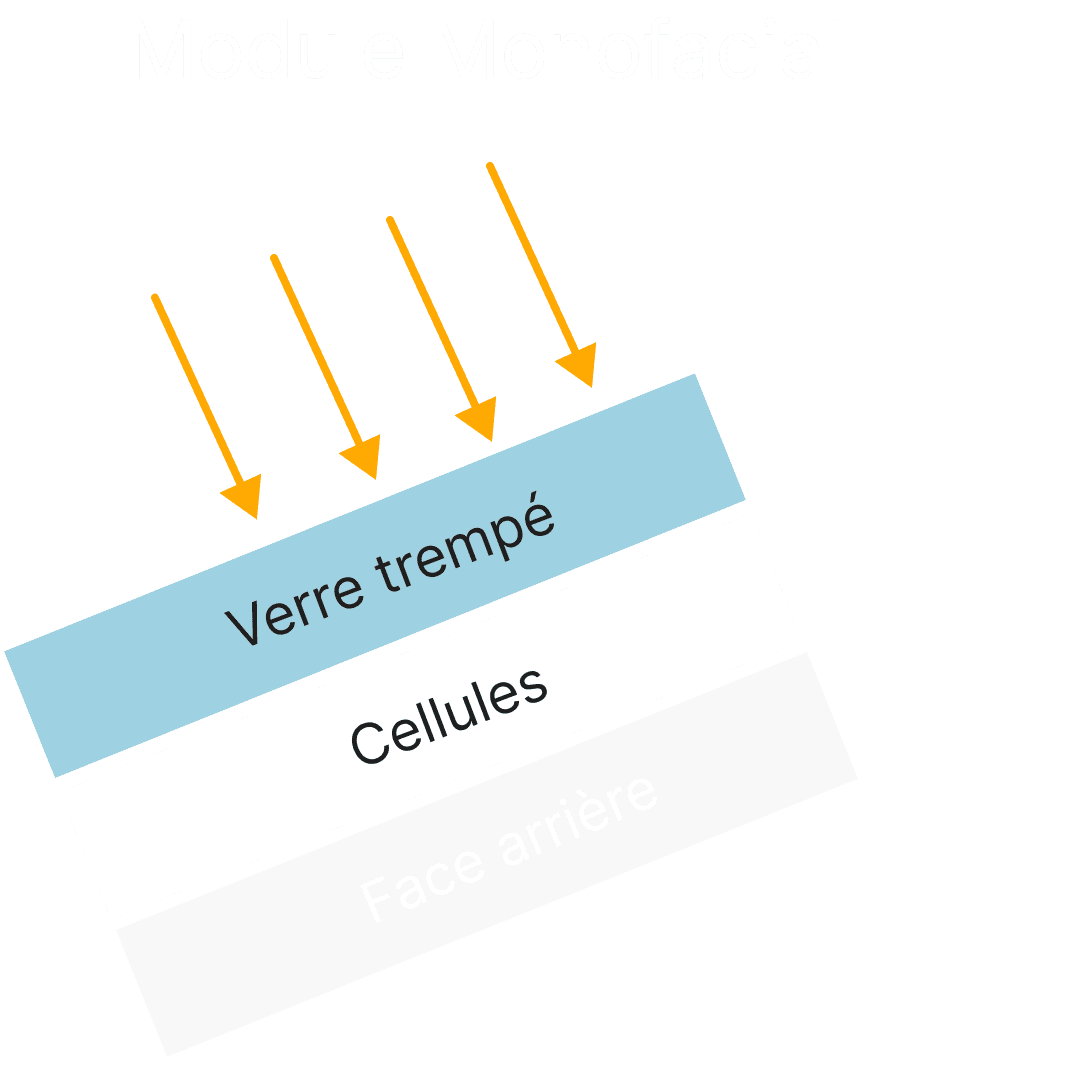 Module monofacial